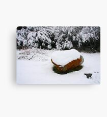 Outdoor Art Canvas Print
