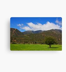 One Tree Hill Again Canvas Print