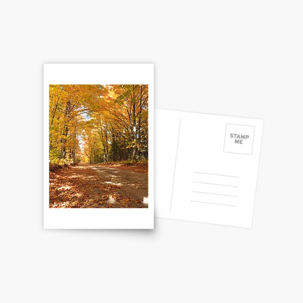 Item preview, Autumn yellow trees over a back road designed and sold by Daniel Arthur Brown Photography.