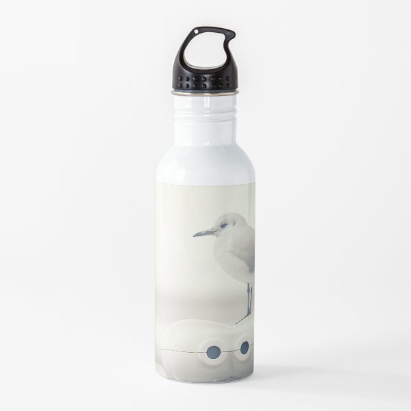 Gaviota en un binocular turístico Botella de agua