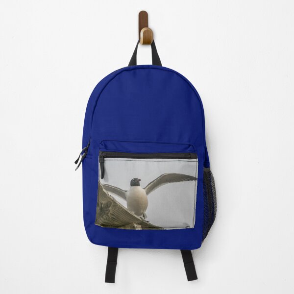 Item preview, Gull designed and sold by KensLensDesigns.