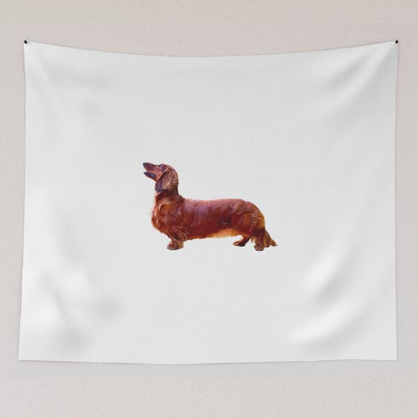 Item preview, Dachshund Long Haired Mini Shaded Red Dog  designed and sold by ElegantCat.
