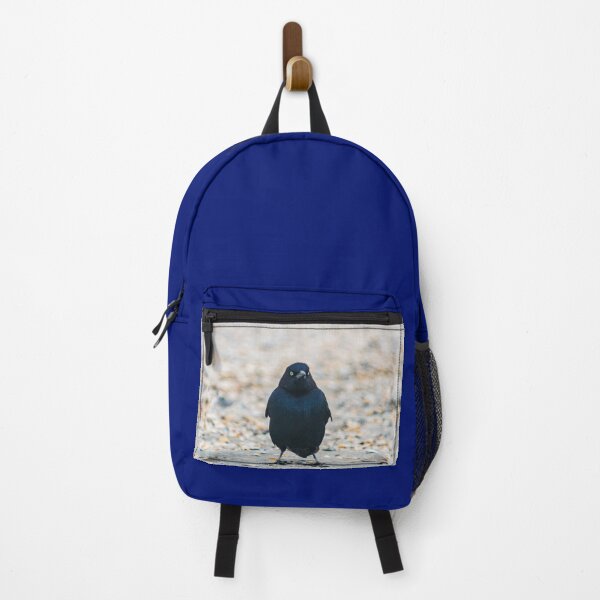 Item preview, Boat-tailed Grackle at Beach designed and sold by KensLensDesigns.