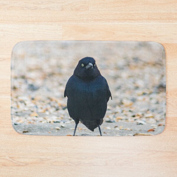 Item preview, Boat-tailed Grackle at Beach designed and sold by KensLensDesigns.