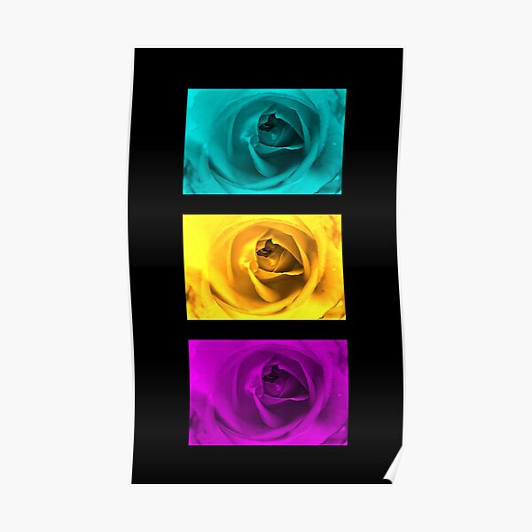 3 Roses Poster