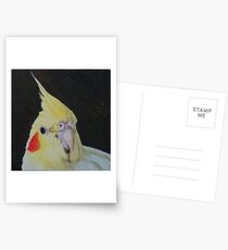 Cockatiel Postcards