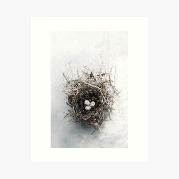 Item preview, Bird Nest designed and sold by Elena Ray.