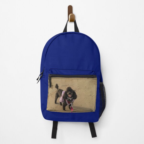 Item preview, Toy poodle at beach designed and sold by KensLensDesigns.
