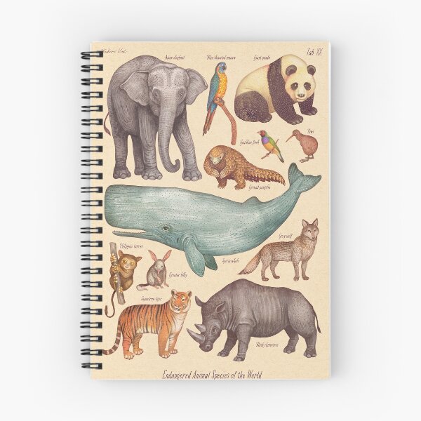 Item preview, Endangered Animal Species Tab.XX designed and sold by Cabinet Of Curiosities by Vlad.