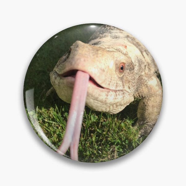 Item preview, Bosc monitor sticking his tongue out photograph designed and sold by bubbaclez.