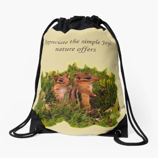 Sacs A Cordon Sur Le Theme Chipmunks Redbubble