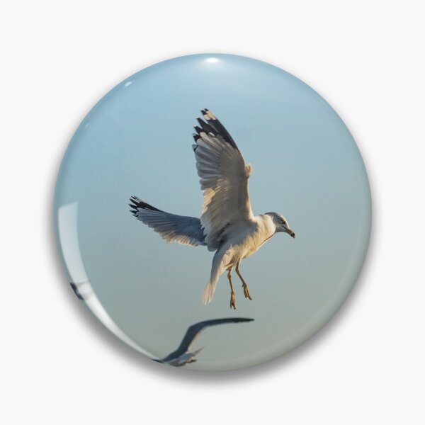 Item preview, Larus californicus designed and sold by KensLensDesigns.