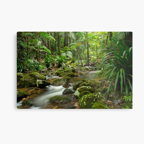 Item preview, Tropical Beauty designed and sold by Cameron B.