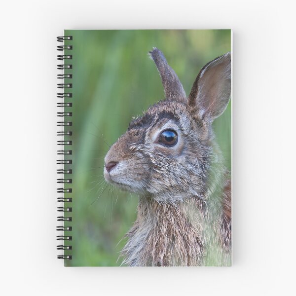 Item preview, Wet Hare designed and sold by James Cumming.