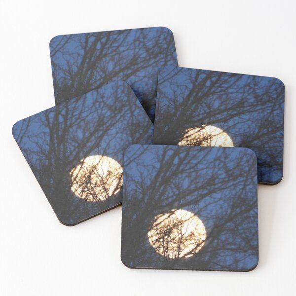Item preview, Spring moonlight through the trees designed and sold by ThePoodleandCo.