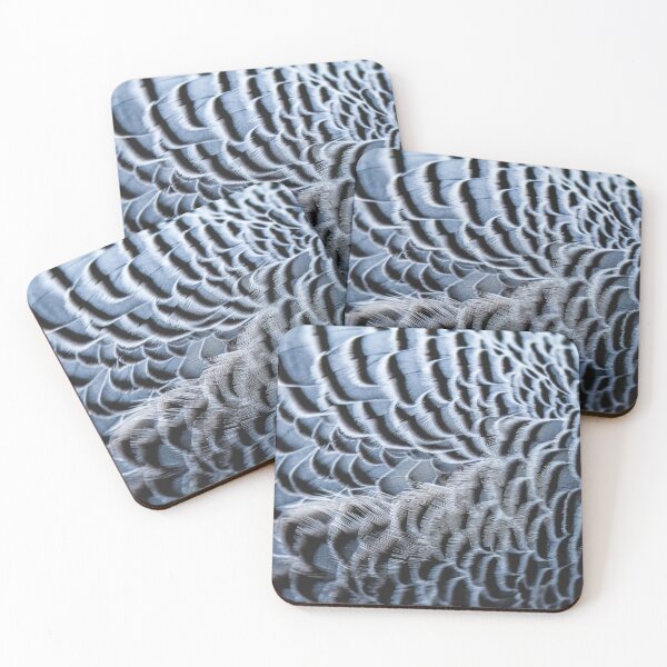 Feathers Coasters (Set of 4)