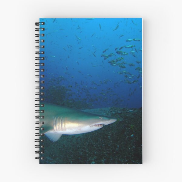 Item preview, Grey Nurse Shark Australia designed and sold by Sean Elliott.