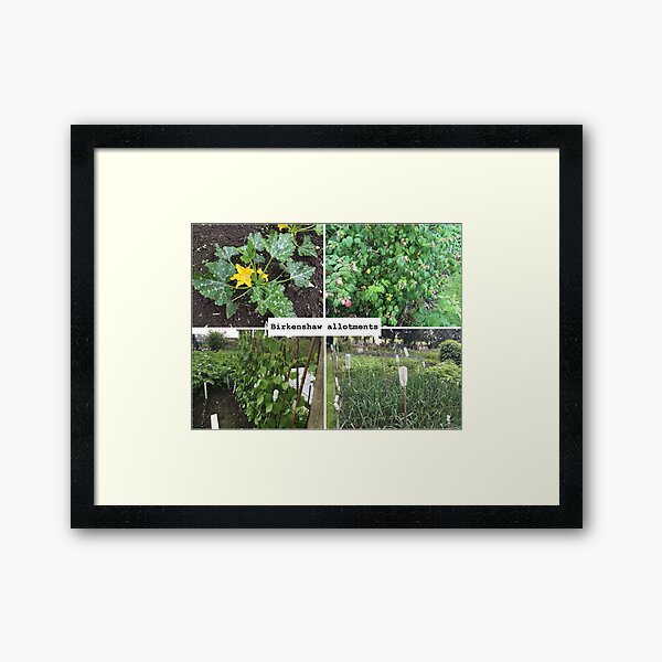 Views of Birkenshaw allotments Framed Art Print