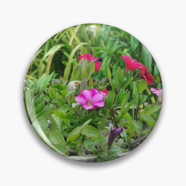 Item preview, Geraniums - Tresco Abbey Gardens, Scilly Isles designed and sold by niki2028.