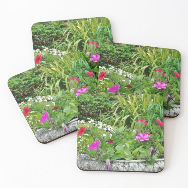 Item preview, Geraniums - Tresco Abbey Gardens, Scilly Isles designed and sold by niki2028.