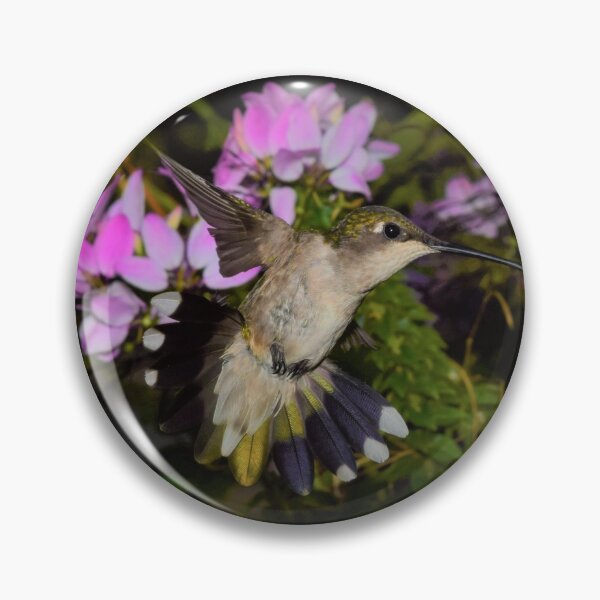 Item preview, Hovering hummingbird tail feathers designed and sold by LJSparvero.