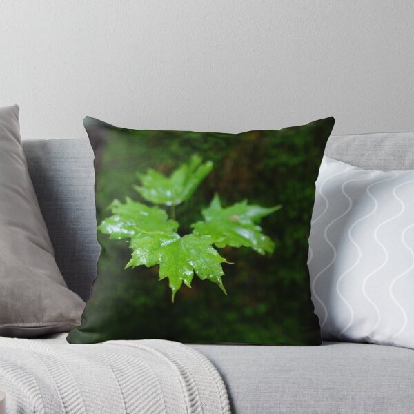 Item preview, baby maple designed and sold by distracted.