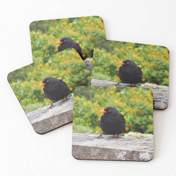 Item preview, Blackbird On The Wall - Tresco Abbey Gardens, Scilly Isles designed and sold by niki2028.
