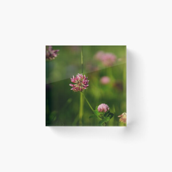 Item preview, pretty pink clover blossom designed and sold by distracted.