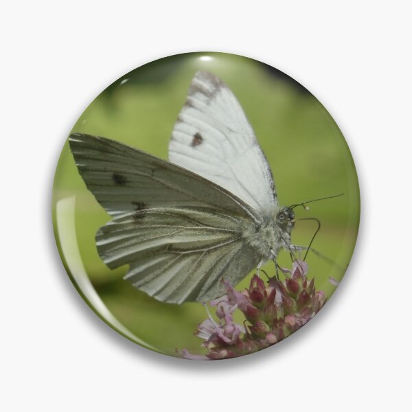 Item preview, Butterfly designed and sold by C Rose.