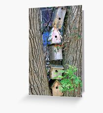 High-Rise For The Birds Greeting Card