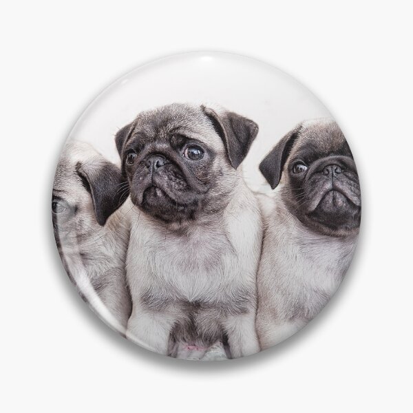 Item preview, Pugs designed and sold by Pioooh.