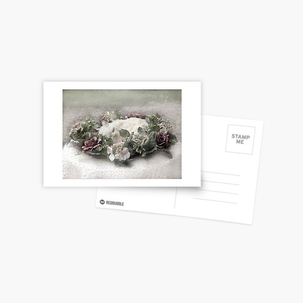 White cat Postcard