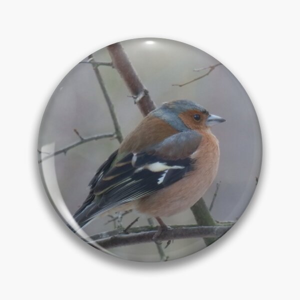 Item preview, Chaffinch designed and sold by C Rose.
