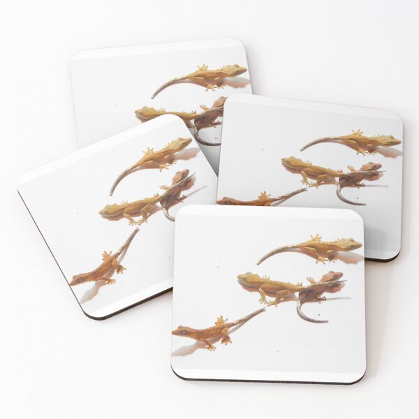Item preview, four baby crested geckos photograph designed and sold by bubbaclez.