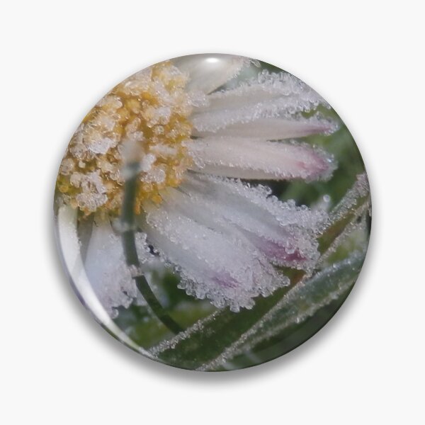 Item preview, Early daisy designed and sold by C Rose.