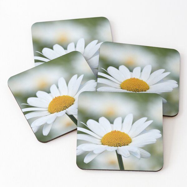 Item preview, Ox-eye daisy 28 designed and sold by Jouko Lehto Photography.