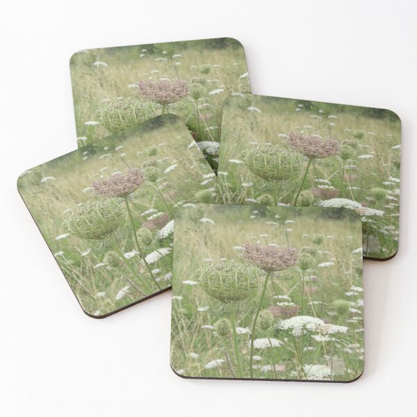 Item preview, Wild carrots in the grass wildflowers designed and sold by ThePoodleandCo.
