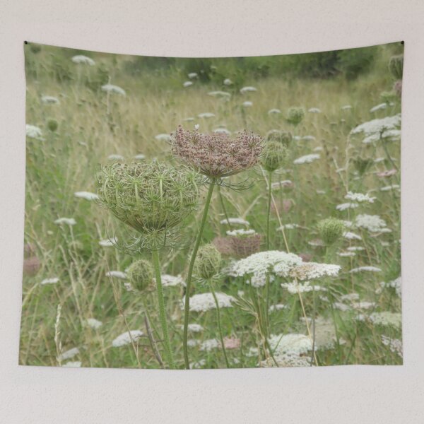 Item preview, Wild carrots in the grass wildflowers designed and sold by ThePoodleandCo.