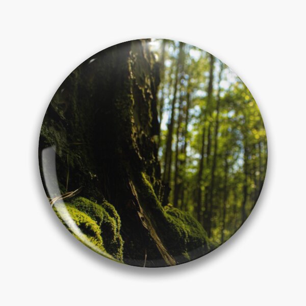 Aperçu de l'œuvre  NC. Une scène si paisible. L'air frais et le calme des bois me motivent toujours et aident à me recentrer. créée et vendue par ValueEveryThing.