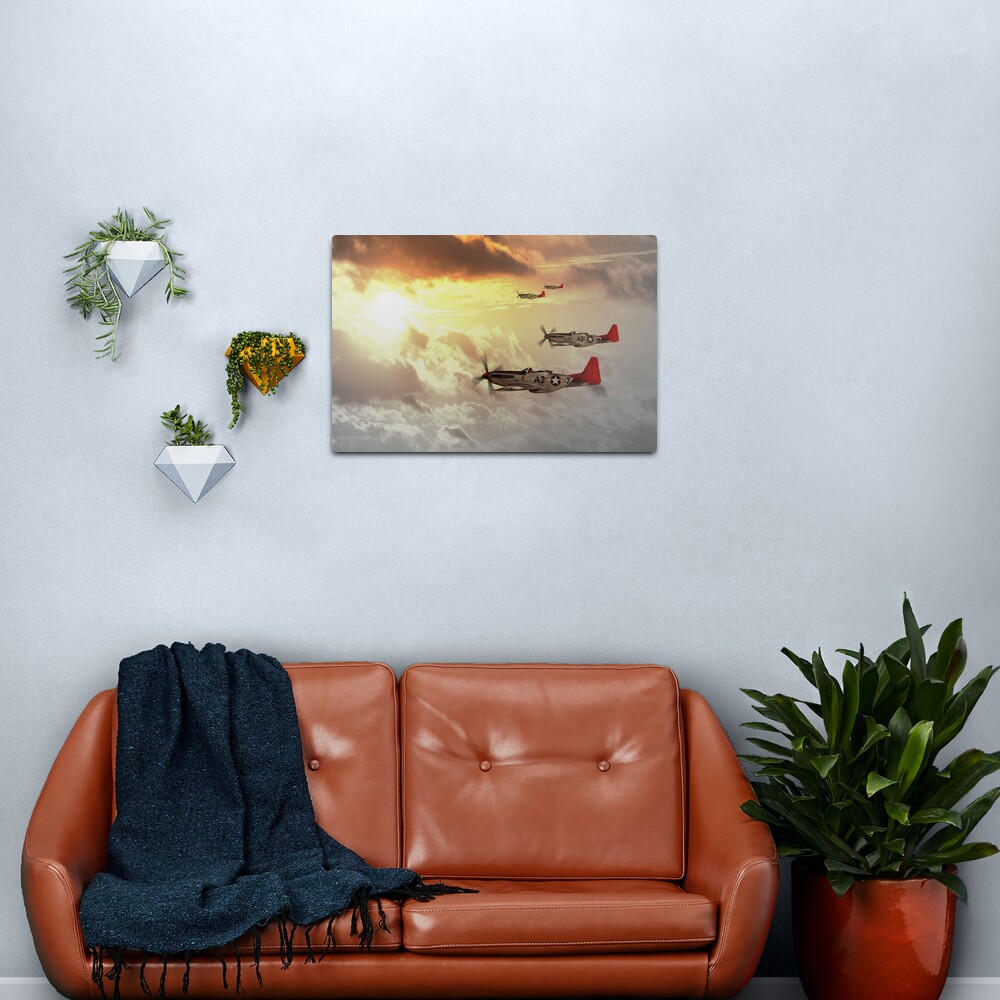 Red Tails Metal Print