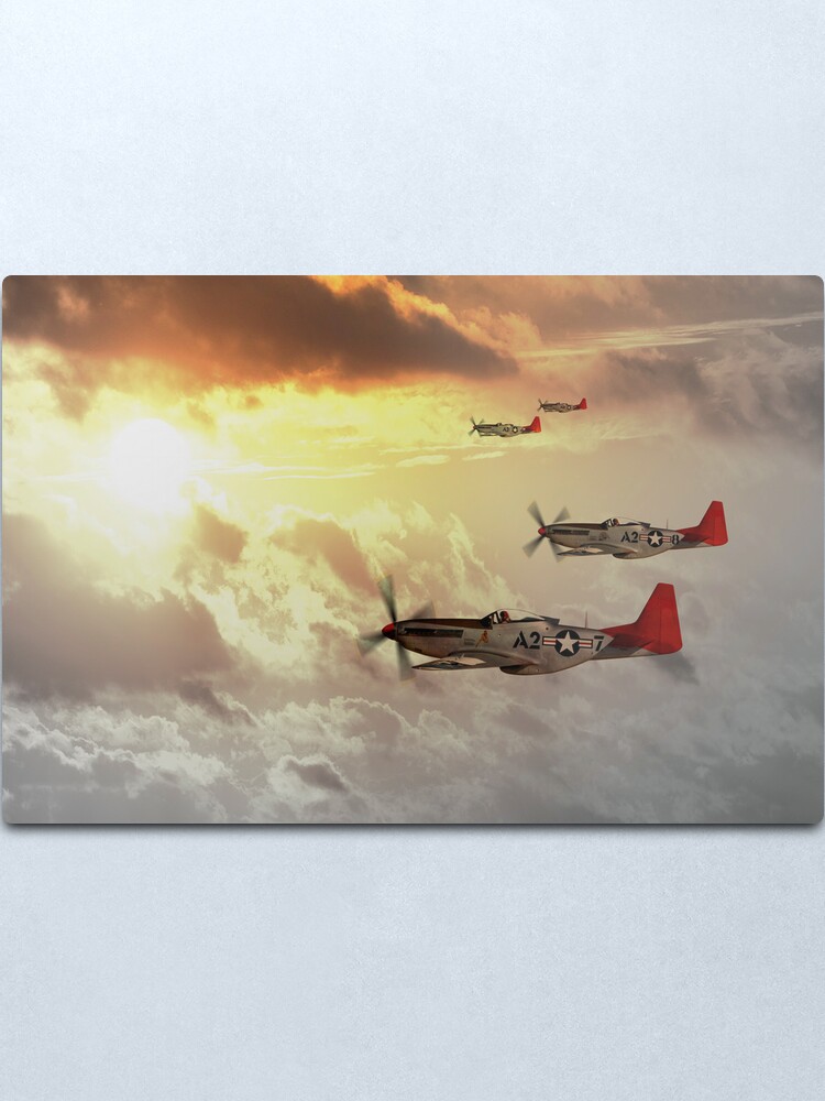 Alternate view of Red Tails Metal Print
