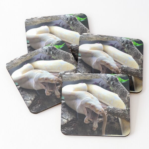 Item preview, Fotografía de boa constrictor de alimentación designed and sold by bubbaclez.
