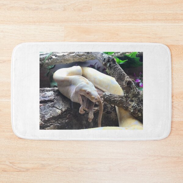 Item preview, Feeding boa constrictor photograph designed and sold by bubbaclez.