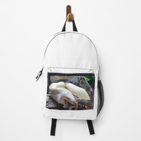 Item preview, Feeding boa constrictor photograph designed and sold by bubbaclez.