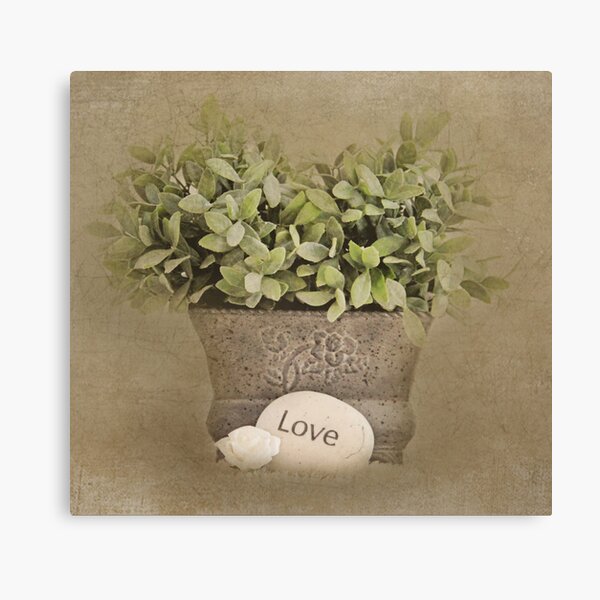 Love Canvas Print
