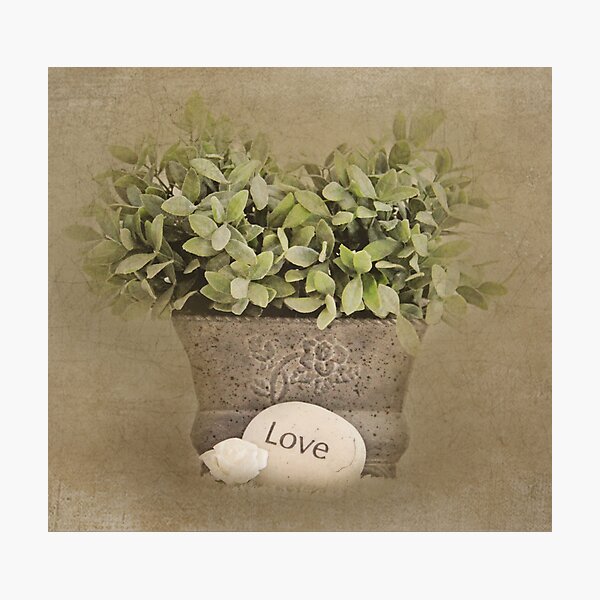 Love Photographic Print