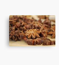 Star Anise nuts Canvas Print
