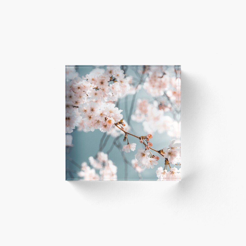 Item preview, Acrylic Block designed and sold by ANZI.