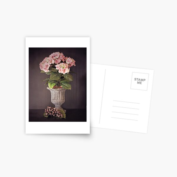 Hortensia Postcard