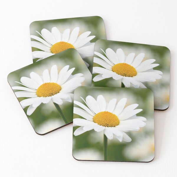 Item preview, Ox-eye daisy 34 designed and sold by Jouko Lehto Photography.